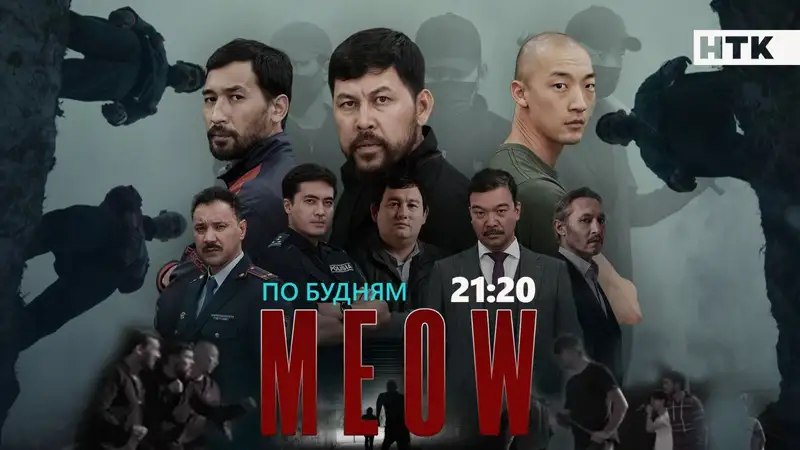 Телесериал "MEOW" основан на реальных событиях, фото - Новости Zakon.kz от 28.11.2023 12:36