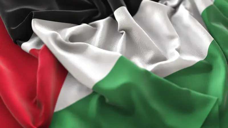 флаг Палестины, фото - Новости Zakon.kz от 06.12.2023 06:39