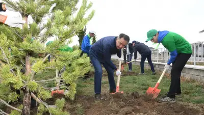 пресс-служба акима Алматы, фото - Новости Zakon.kz от 12.10.2019 18:39