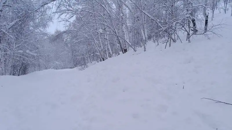 Сразу три лавины сошло в Восточном Казахстане, фото - Новости Zakon.kz от 07.01.2023 12:47