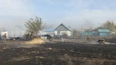 В Восточном Казахстане локализовали основную часть пожаров, фото - Новости Zakon.kz от 10.10.2022 09:45