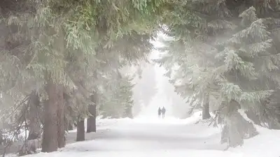 В нескольких городах РК прогнозируют неблагоприятные метеорологические условия, фото - Новости Zakon.kz от 28.12.2022 08:58