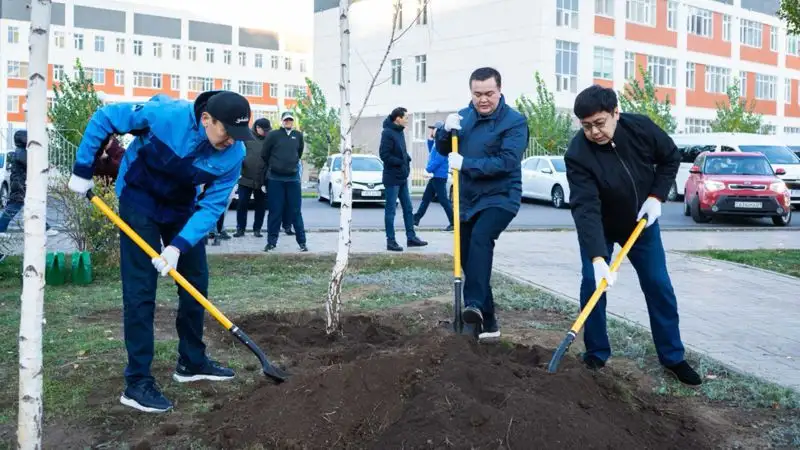 посадка деревьев, фото - Новости Zakon.kz от 14.10.2023 14:42