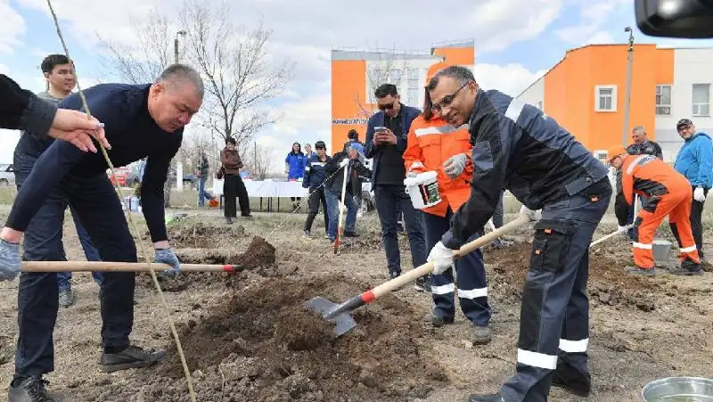 Высадку 100 тысяч саженцев в Темиртау начала компания
«АрселорМиттал Темиртау»