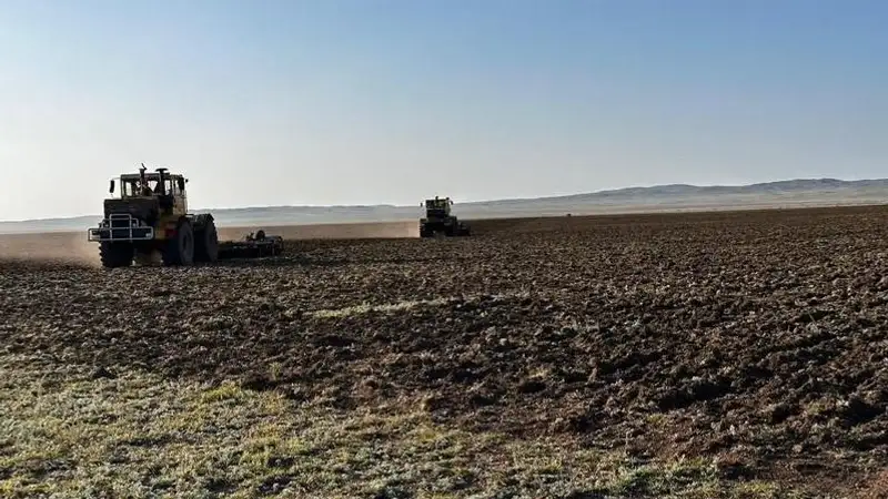 В Карагандинской области восстанавливают деградированные пастбища