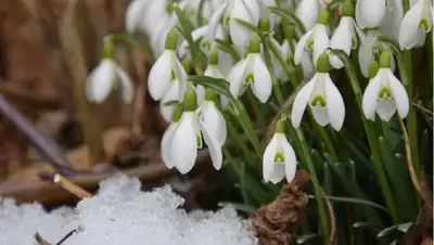 погода, весна