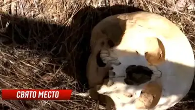 В Туркестанской области кладбище оказалось на территории детского лагеря, фото - Новости Zakon.kz от 17.08.2023 08:02