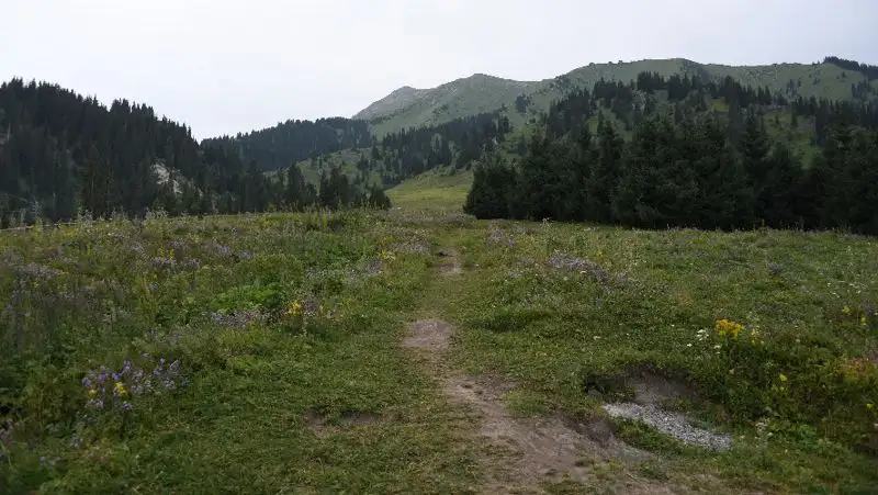 Заблудившихся туристов спасли в районе горного курорта «Шымбулак»