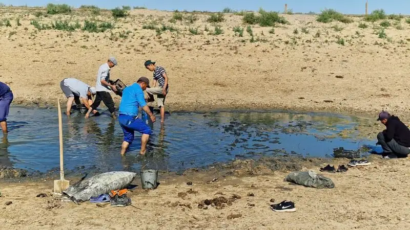 Почему мальки в Прикаспии под угрозой гибели