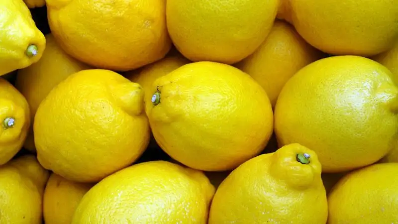 лимон, полезные фрукты, витамины, фото - Новости Zakon.kz от 08.09.2023 10:43