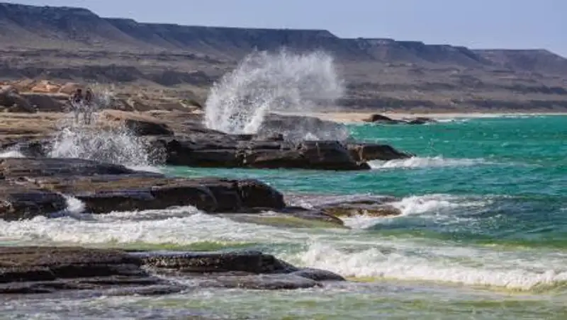 Часть акватории Каспийского моря объявят заповедной зоной