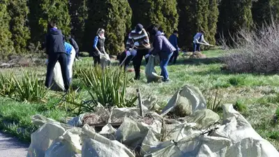 Почти 5 тысяч деревьев высадят в рамках общегородского субботника Almaty Clean & Green