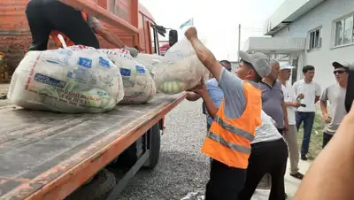 Пресс-служба акима Туркестанской области, фото - Новости Zakon.kz от 28.06.2019 12:26