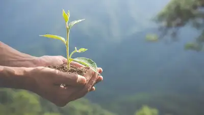 Казахстан предложил объявить 2024 год Годом экологии в ШОС, фото - Новости Zakon.kz от 24.08.2023 16:47