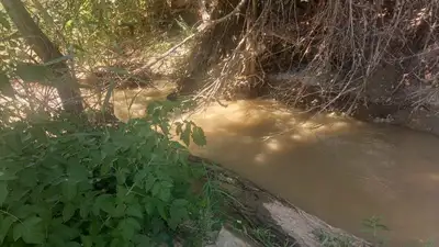 О нелепых смертях двух детей рассказали в ДЧС Шымкента