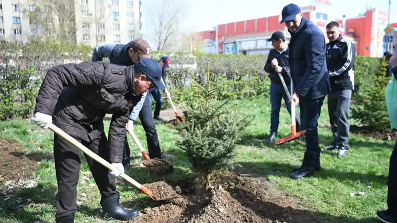 В Уральске высадили свыше двух тысяч деревьев, фото - Новости Zakon.kz от 22.04.2023 21:42