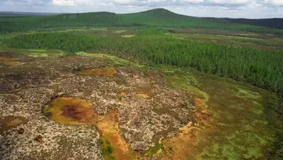 © Владимир Медведев/ТАСС, фото - Новости Zakon.kz от 03.07.2018 10:21