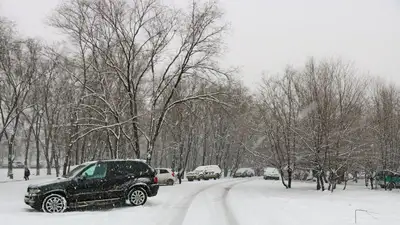 Метель ожидается на большей части Казахстана