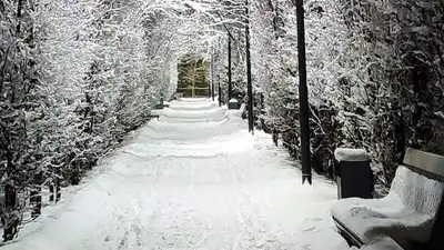 В госсобственность вернули парк "Южный" в Алматы, фото - Новости Zakon.kz от 02.02.2023 16:59