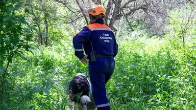 Потерявшегося ребенка три часа искали в горах Алматы 