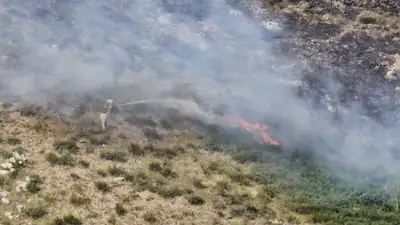 Многочисленные пожары в Восточном Казахстане ликвидированы, фото - Новости Zakon.kz от 28.06.2023 13:54