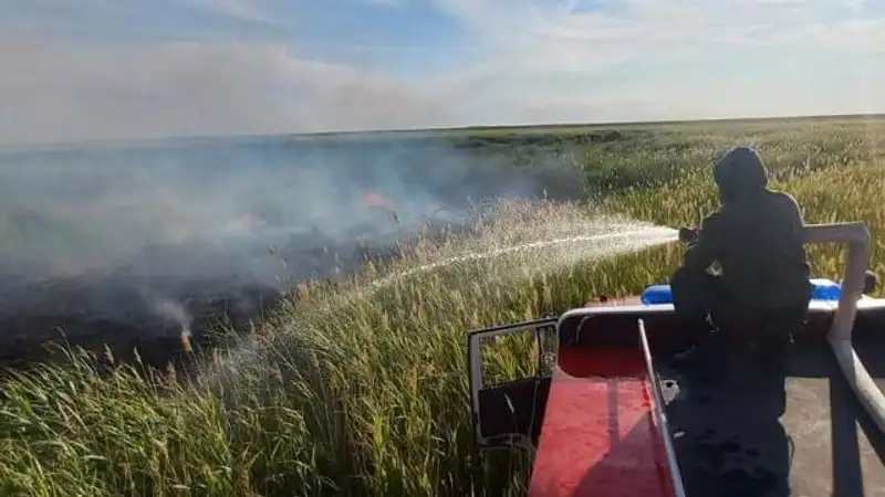 Пожар в Абайской области полностью потушен