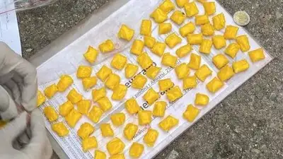2,5 тонны наркотиков изъяли на территории государств-членов ОДКБ, фото - Новости Zakon.kz от 18.09.2023 17:22