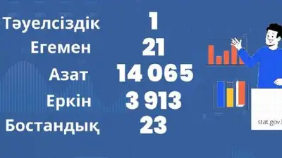 В преддверии Дня Независимости: сколько в Казахстане Тауелсіздіков