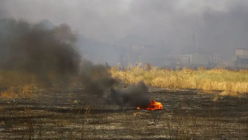 В Алматинской области горел камыш