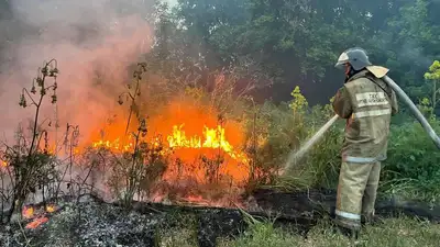 На спецодежду для лесных пожарных выделят 918 млн тенге, фото - Новости Zakon.kz от 31.07.2023 11:25