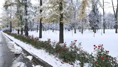 Синоптики рассказали, какой будет погода в Казахстане 22 ноября