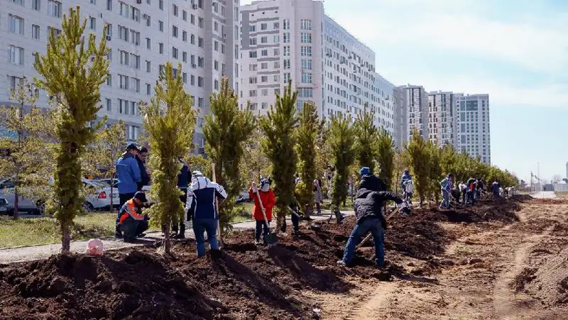 субботник, фото - Новости Zakon.kz от 25.04.2022 17:02