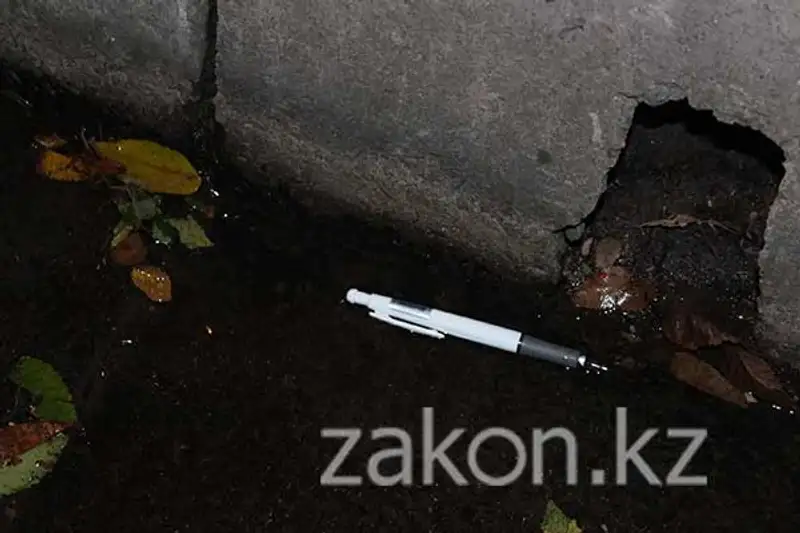 Мертвого изувеченного мужчину нашли сегодня утром в арыке в Алматы (фото), фото - Новости Zakon.kz от 12.10.2013 16:07