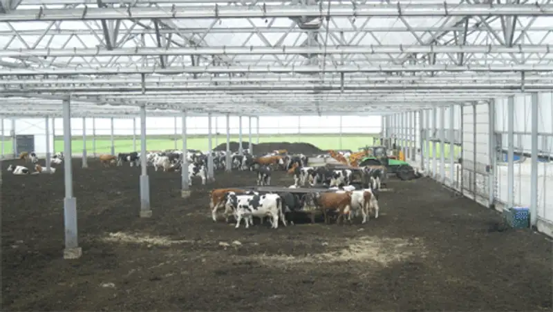 Павлодарским крестьянам предложили строить фермы по голландскому образцу, фото - Новости Zakon.kz от 29.10.2013 00:43
