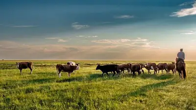 Казахстан акиматы земля возвращение распределение 