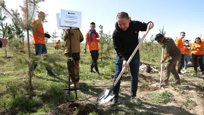 Аллеи возможностей Jusan: Работники банка высадили 350 деревьев, фото - Новости Zakon.kz от 27.04.2023 17:55