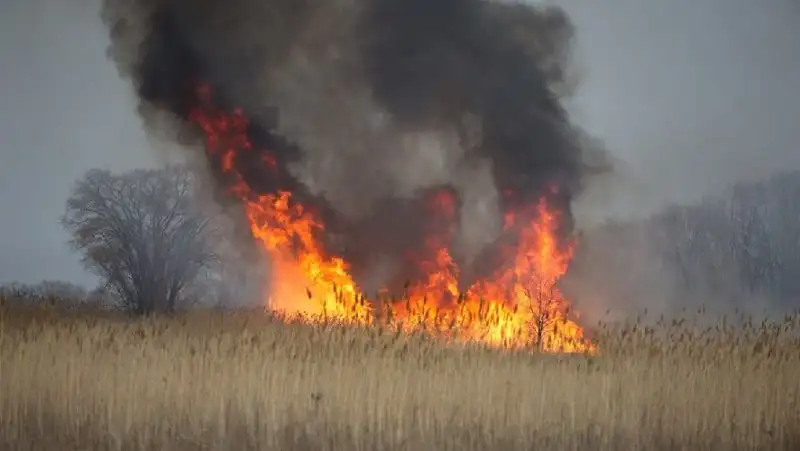 Крупный пожар разгорелся на мусорном полигоне в Жетысуской области