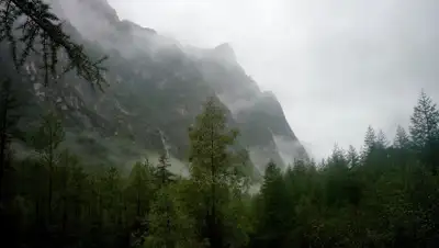 nature.baikal.ru