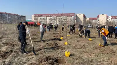 В Алматы весной высадят более 10 тысяч деревьев, фото - Новости Zakon.kz от 31.03.2023 10:27