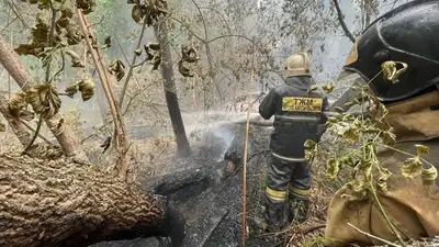 Казахстан пожар в Абайской области, фото - Новости Zakon.kz от 15.06.2023 12:13