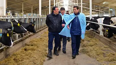 В СКО запустили новую молочную ферму