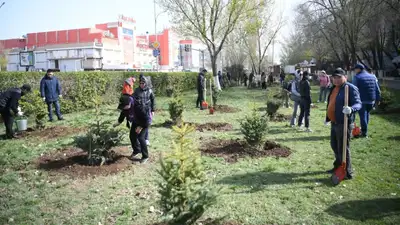 В Уральске высадили свыше двух тысяч деревьев, фото - Новости Zakon.kz от 22.04.2023 21:42