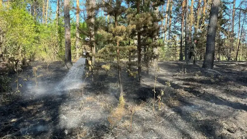 Когда ликвидируют пожар в Абайской области