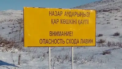 плакат