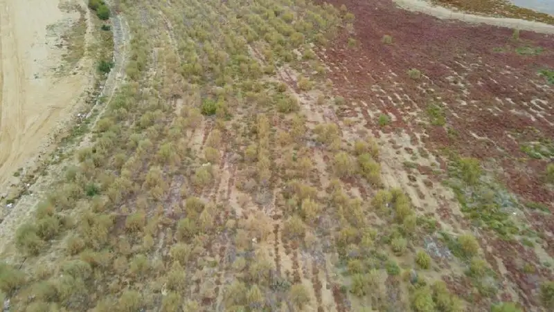 рекультивация земель в Мангистау, хвостохранилище Кошкар Ата, фото - Новости Zakon.kz от 27.10.2022 19:50