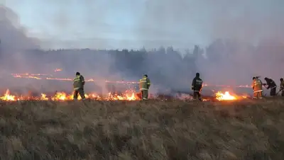 спасатели тушат природный пожар в Карагандинской области, фото - Новости Zakon.kz от 10.09.2022 12:13