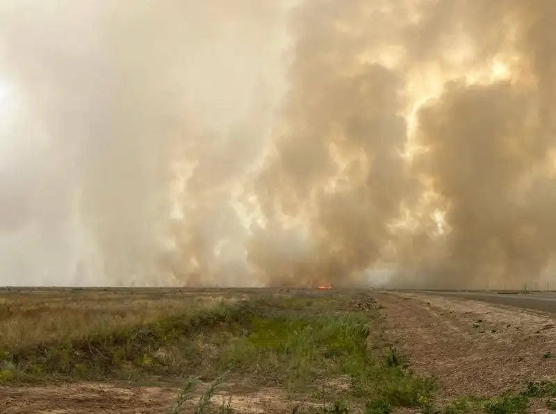 В ЗКО ликвидировали 30 очагов природных пожаров, фото - Новости Zakon.kz от 11.07.2023 02:15