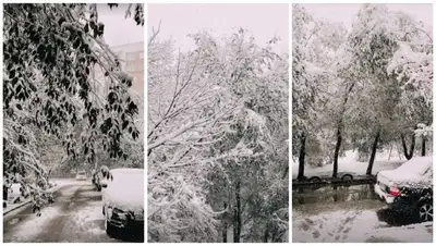 Первый снег выпал в Уральске, фото - Новости Zakon.kz от 01.11.2022 13:20