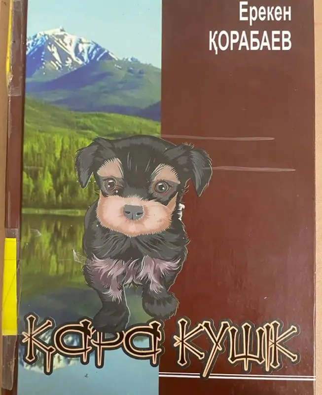 Инженер из Актау стал детским писателем, детские книги, библиотека, книги Ерекена Корабаева , фото - Новости Zakon.kz от 16.11.2023 10:27