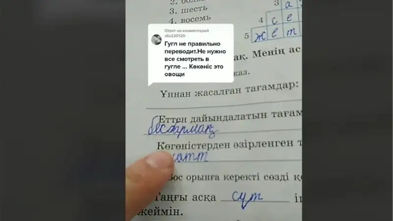 "Көкөніс" или "Көгөніс"? Эксперты ответили на обвинение об ошибке в тетради